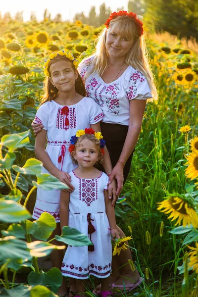 Família Ucrânia Campo Girassóis Foco Seletivo Natureza — Fotografia de Stock