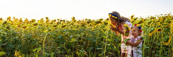 Ein Kind Auf Einem Sonnenblumenfeld Selektiver Fokus Natur — Stockfoto