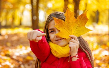 Parktaki sarı yapraklı sonbahar çocuğu. Seçici odaklanma. Çocuk.