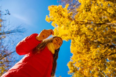 Parktaki sarı yapraklı sonbahar çocuğu. Seçici odaklanma. Çocuk.