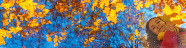 Autumn Child Park Yellow Leaves Selective Focus Kid — Stock Photo, Image