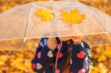 Parktaki sarı yapraklı sonbahar çocuğu. Seçici odaklanma. Çocuk.
