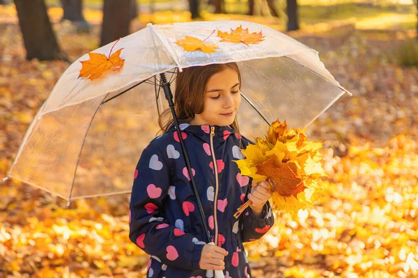 Parktaki sarı yapraklı sonbahar çocuğu. Seçici odaklanma. Çocuk.