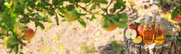 Ocet Jabłkowy Ogrodzie Wybiórcze Skupienie Żywność — Zdjęcie stockowe