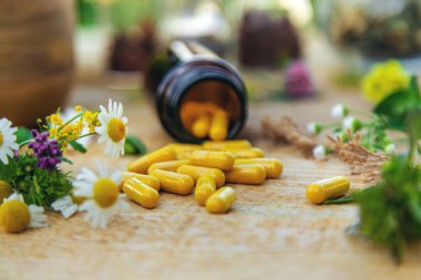 İlaveler, şifalı bitkiler ve çiçekler. Seçici odaklanma. Doğa.