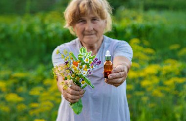 Yaşlı bir kadın bir şişe şifalı bitki ve çiçeğin içinde bir özü tutuyor. Seçici odaklanma. Doğa.