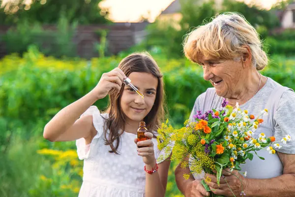 Großmutter Und Enkelin Halten Heilkräuter Und Blumen Den Händen Selektiver — Stockfoto