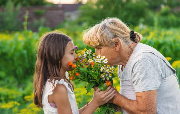 Grandmother Granddaughter Hold Medicinal Herbs Flowers Hands Selective Focus Nature — Stock Photo, Image
