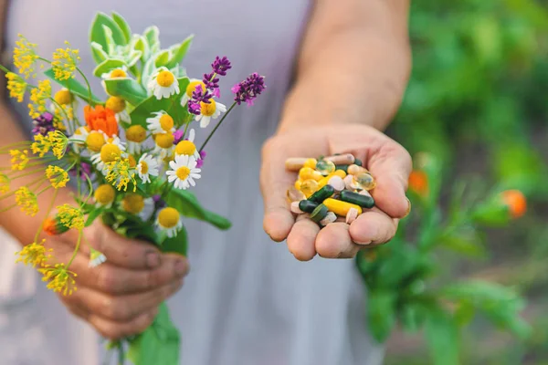 Yaşlı bir kadın elinde şifalı bitkiler ve çiçekler tutuyor. Seçici odaklanma. Doğa.