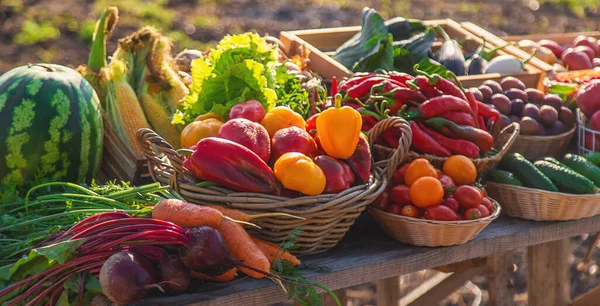 Obst Und Gemüse Auf Dem Bauernmarkt Selektiver Fokus Lebensmittel — Stockfoto