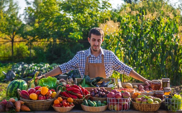 Αγρότης Πουλάει Φρούτα Και Λαχανικά Στην Αγορά Των Αγροτών Επιλεκτική — Φωτογραφία Αρχείου