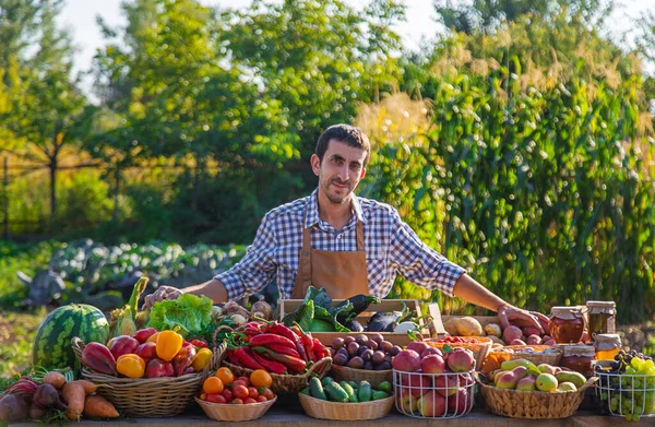 농부는 시장에서 과일과 야채를 판매합니다 선택적인 식료품 — 스톡 사진