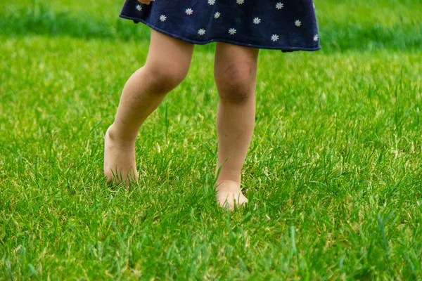 Child Feet Grass Selective Focus Kid — Stock Photo, Image