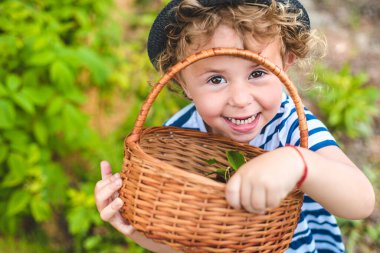 Bir çocuk bahçede kiraz topluyor. Seçici odaklanma. Doğa.