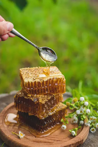 Homemade Honey Garden Selective Focus Food — Stock Photo, Image