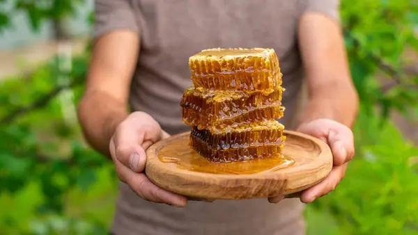 Homemade Honey Garden Hands Man Selective Focus Food — Stock Photo, Image