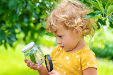 Bir çocuk kavanozdaki bir böceği büyüteçle inceliyor. Seçici odaklanma. Doğa.