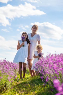 Anne ve çocuklar lavanta tarlasında. Seçici odaklanma. Doğa.
