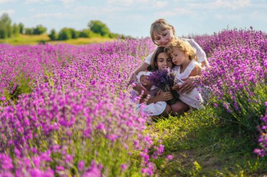 Anne ve çocuklar lavanta tarlasında. Seçici odaklanma. Doğa.