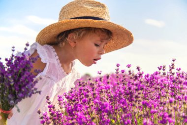 Lavanta tarlasında bir çocuk. Seçici odaklanma. Doğa.