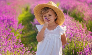 Lavanta tarlasında bir çocuk. Seçici odaklanma. Doğa.