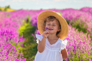 Lavanta tarlasında bir çocuk. Seçici odaklanma. Doğa.