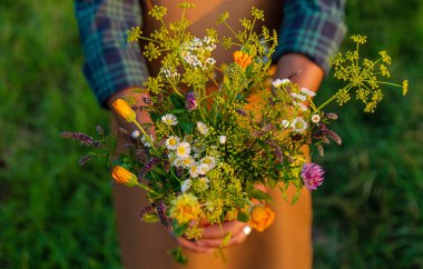 Bir adam tarlada şifalı bitkiler toplar. Seçici odaklanma. Doğa.