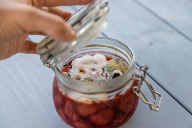 Kavanozdaki reçel küflü. Seçici odaklanma. Yiyecek..