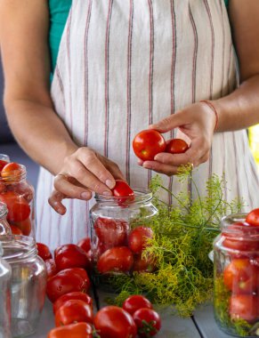 Kavanozda domatesleri muhafaza etmek. Seçici odaklanma. Yiyecek..