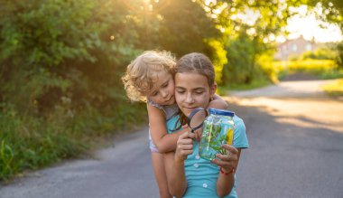 Bir çocuk elinde büyüteçle kavanoza bakar. Seçici odaklanma. Çocuk.