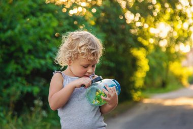 Bir çocuk elinde büyüteçle kavanoza bakar. Seçici odaklanma. Çocuk.
