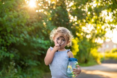 Bir çocuk elinde büyüteçle kavanoza bakar. Seçici odaklanma. Çocuk.