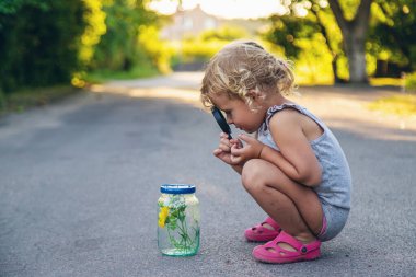 Bir çocuk elinde büyüteçle kavanoza bakar. Seçici odaklanma. Çocuk.