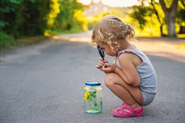 Bir çocuk elinde büyüteçle kavanoza bakar. Seçici odaklanma. Çocuk.
