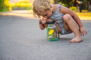 Bir çocuk elinde büyüteçle kavanoza bakar. Seçici odaklanma. Çocuk.