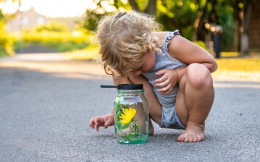 Bir çocuk elinde büyüteçle kavanoza bakar. Seçici odaklanma. Çocuk.