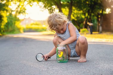 Bir çocuk elinde büyüteçle kavanoza bakar. Seçici odaklanma. Çocuk.