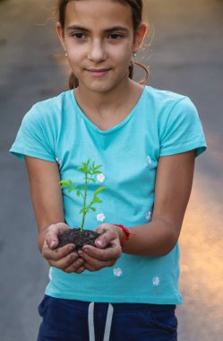 Çocuk elinde bir bitki tutuyor. Seçici odaklanma. Çocuk.