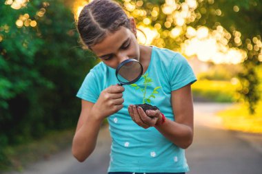 Bir çocuk elinde büyüteçle bir bitkiye bakıyor. Seçici odaklanma. Çocuk.