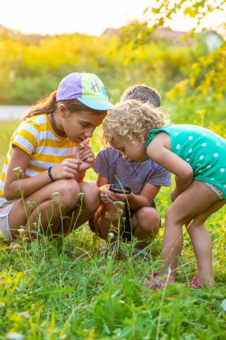 Çocuklar birlikte bahçedeki bitkilere büyüteçle bakıyorlar. Seçici odaklanma. Çocuk.