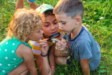 Çocuklar birlikte bahçedeki bitkilere büyüteçle bakıyorlar. Seçici odaklanma. Çocuk.