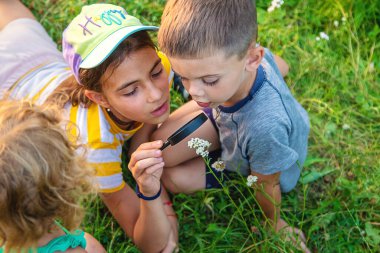 Çocuklar birlikte bahçedeki bitkilere büyüteçle bakıyorlar. Seçici odaklanma. Çocuk.