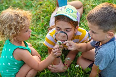Çocuklar birlikte bahçedeki bitkilere büyüteçle bakıyorlar. Seçici odaklanma. Çocuk.