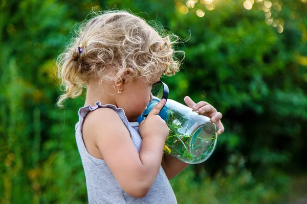 Bir çocuk elinde büyüteçle kavanoza bakar. Seçici odaklanma. Çocuk.