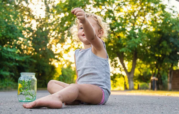 Çocuk elinde bir çekirge tutuyordu. Seçici odaklanma. Doğa.