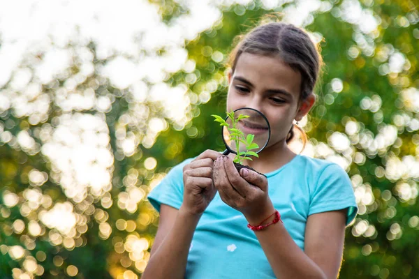 Bir çocuk elinde büyüteçle bir bitkiye bakıyor. Seçici odaklanma. Çocuk.