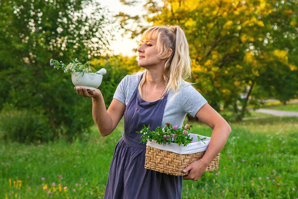 Женщина в саду собирает лекарственные травы для настойки и альтернативной медицины. Выборочный фокус. Природа.