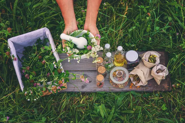 Woman Garden Collects Medicinal Herbs Tinctures Alternative Medicine Selective Focus — Stock Photo, Image