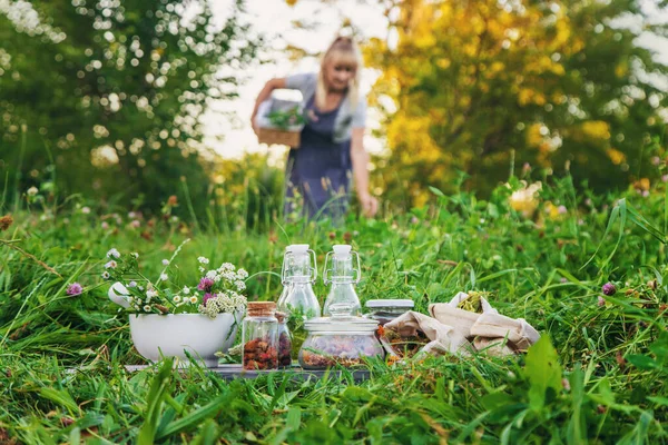 Woman Garden Collects Medicinal Herbs Tinctures Alternative Medicine Selective Focus — Stock Photo, Image