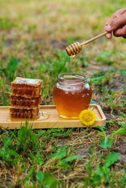 Bahçedeki kavanozda bal var. Seçici odaklanma. Yiyecek..
